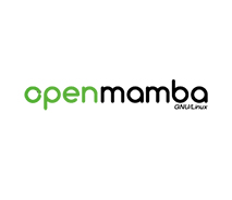 OpenMamba